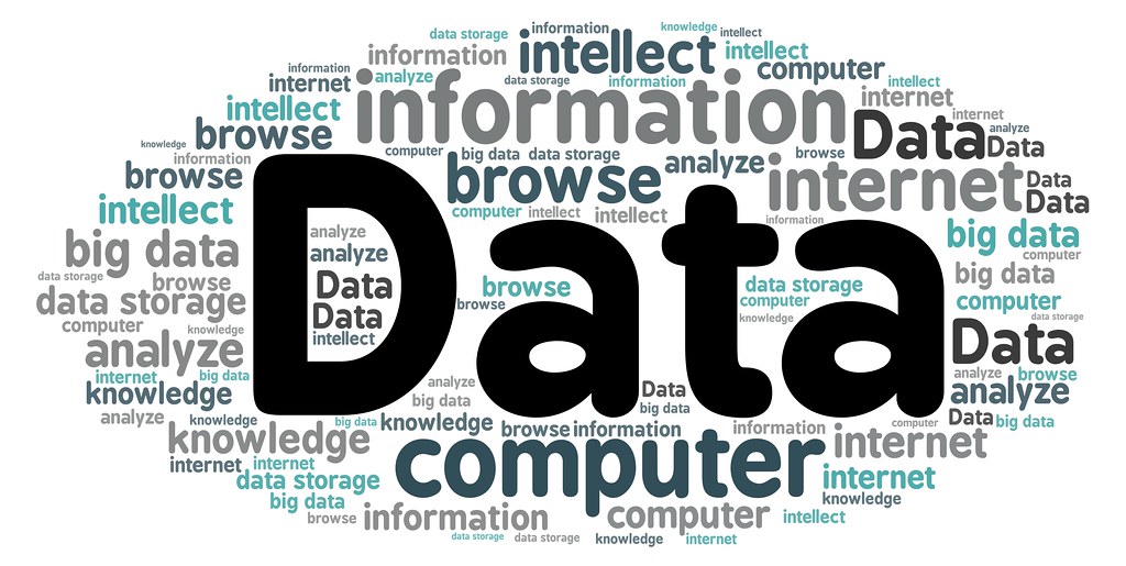 government contracts data