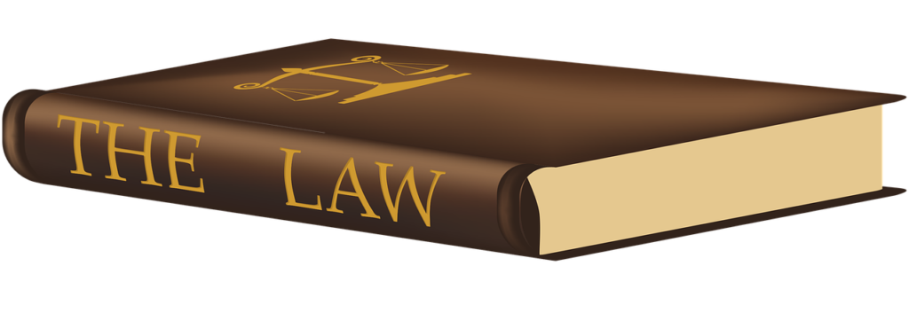 government contracts law